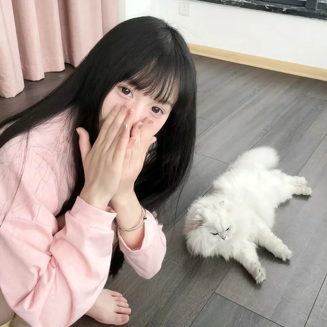 躲在阁楼的安妮·法兰克